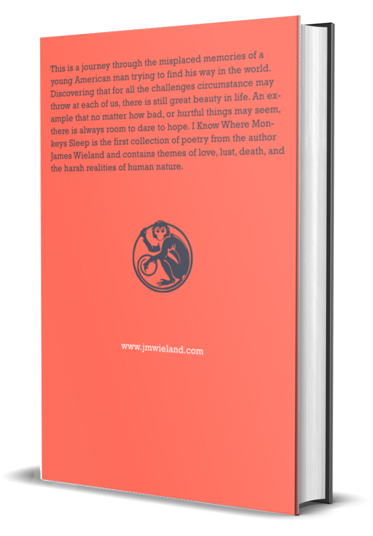 back cover - i know where monkeys sleep collected poems volume 1 by james wieland author copywriter and american poet