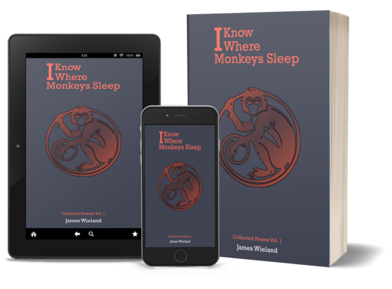 monkeys sleep collected poems volume one james wieland composite image
